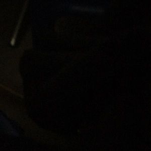 Meet your Posher, Genesis